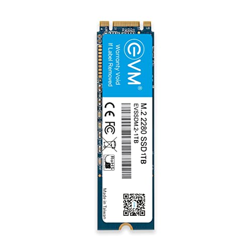 EVM M.2 (2280) 1TB SATA SSD 3D TLC NAND Flash Internal SSD Fast Performance Ultra Low Power Consumption (EVMM2-1TB, Black)