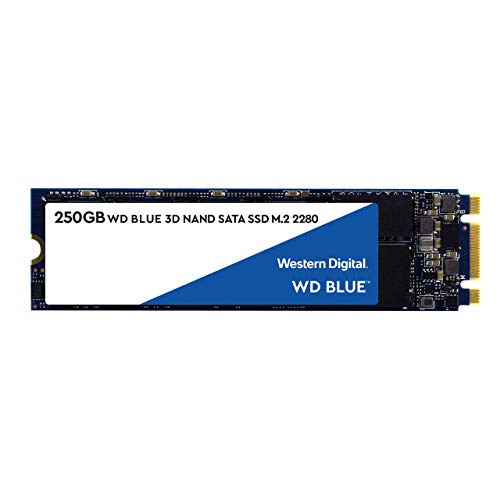 (Renewed) Western Digital 250GB M.2 Internal Solid State Drive (S250G2B0B)